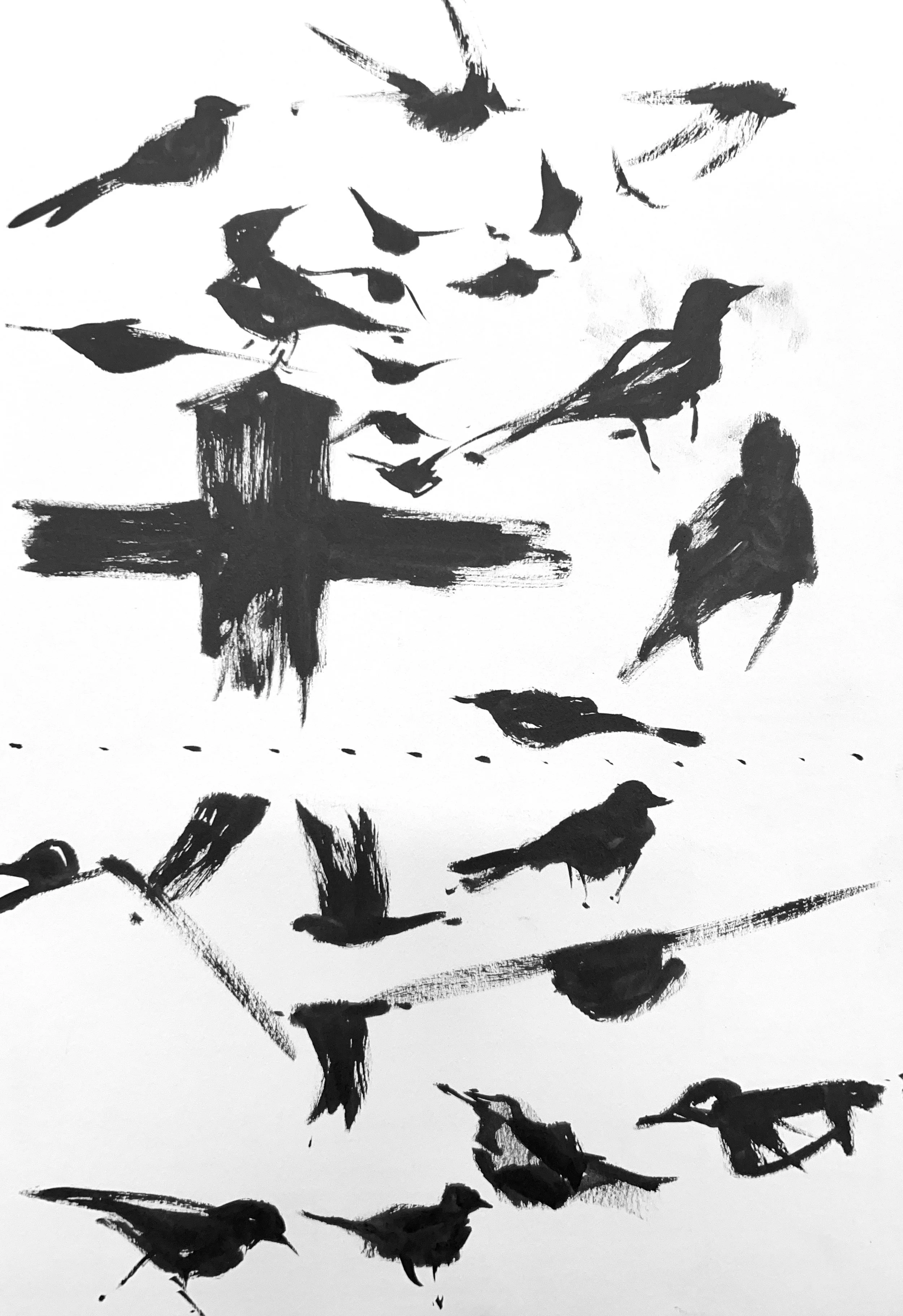 Plein Air, Common Grackle Studies, Flagstaff, 6-6:25pm, 5.16.24