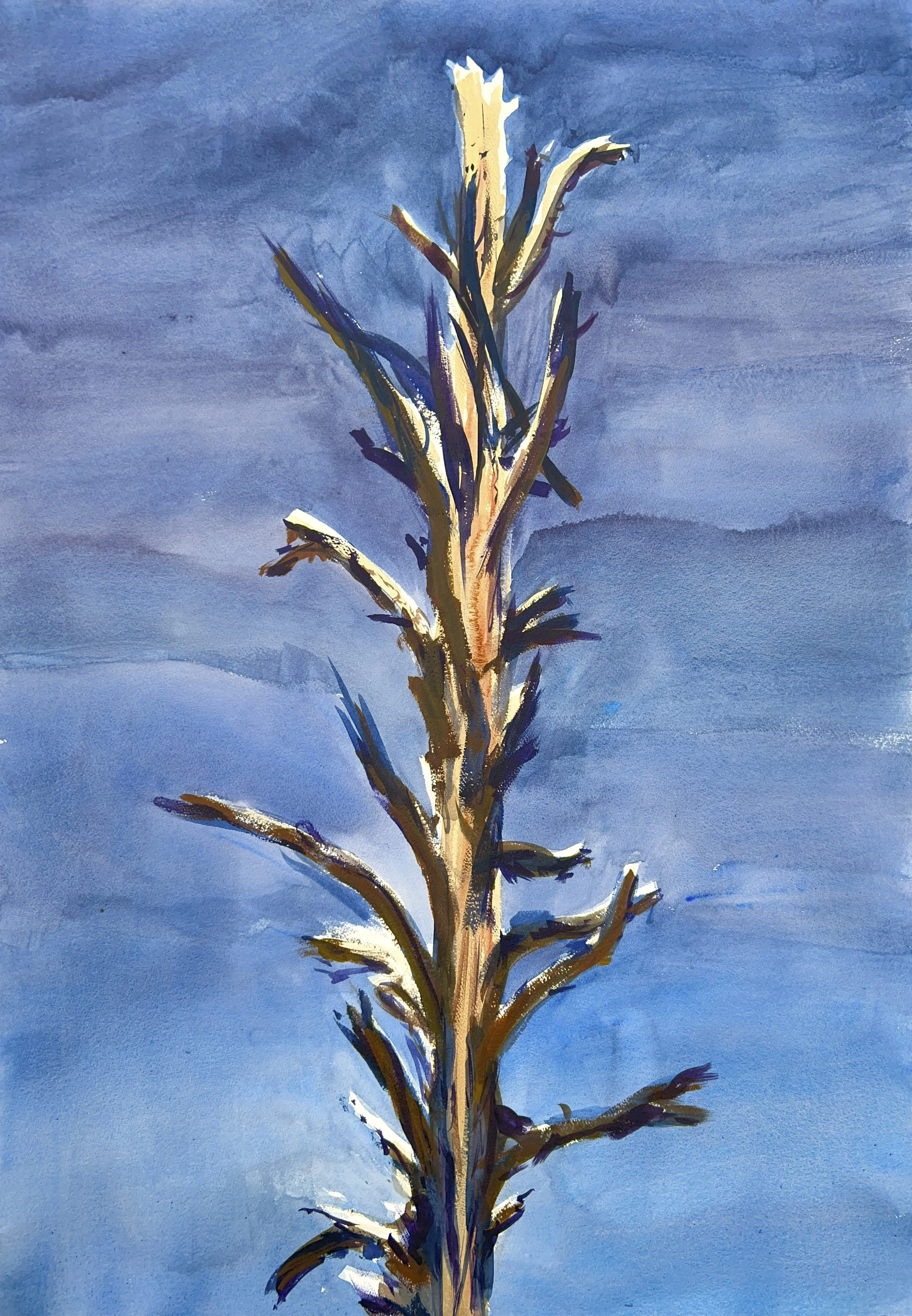 Plein Air, Snag in Picture Canyon, 10:30am-12:30pm, 5.19.24, Sunday