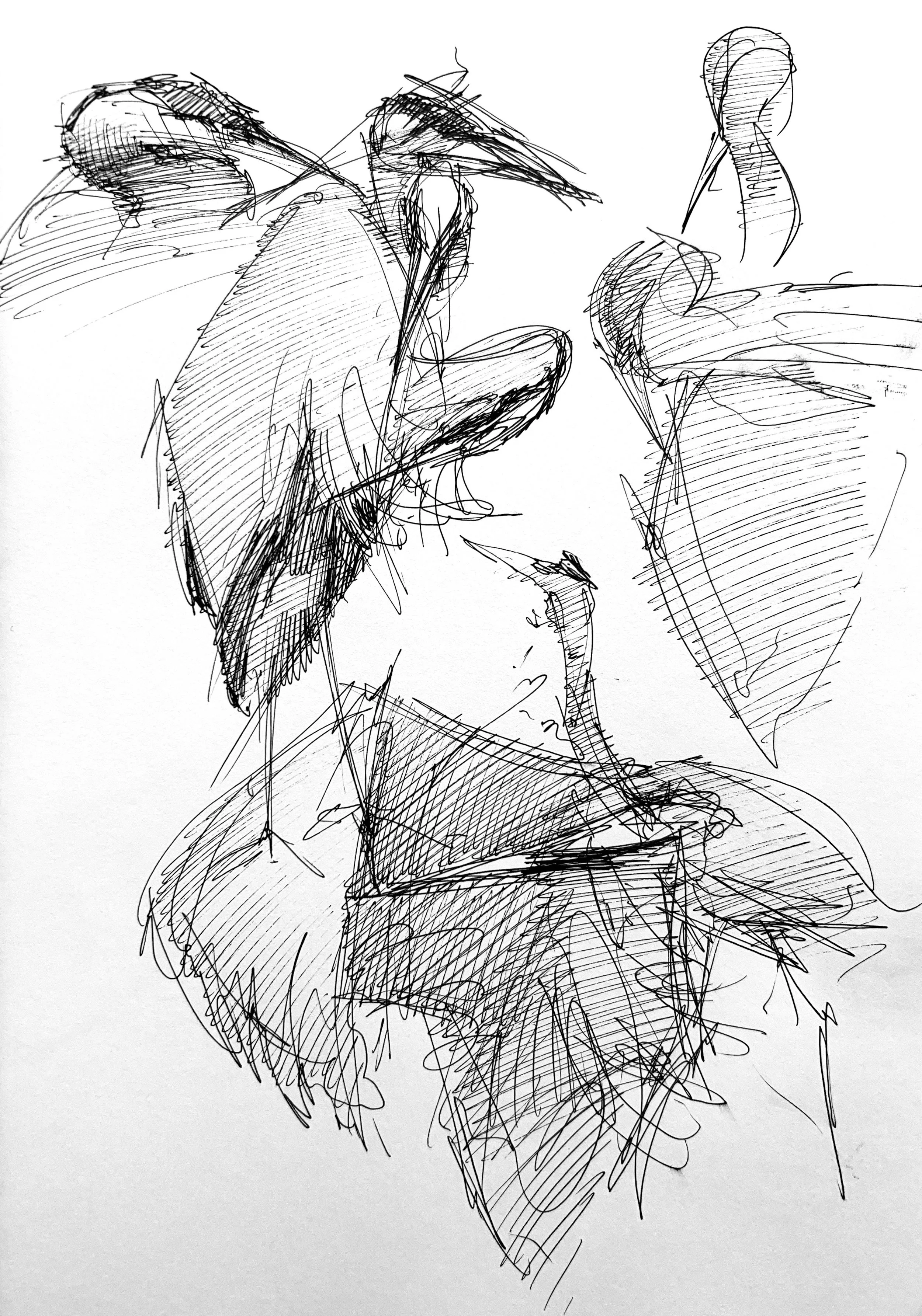 Plein Air, "Gary", Heron Studies 1 of 3, Fairview Ave E, 6.16.24, 7-8pm, Sunday