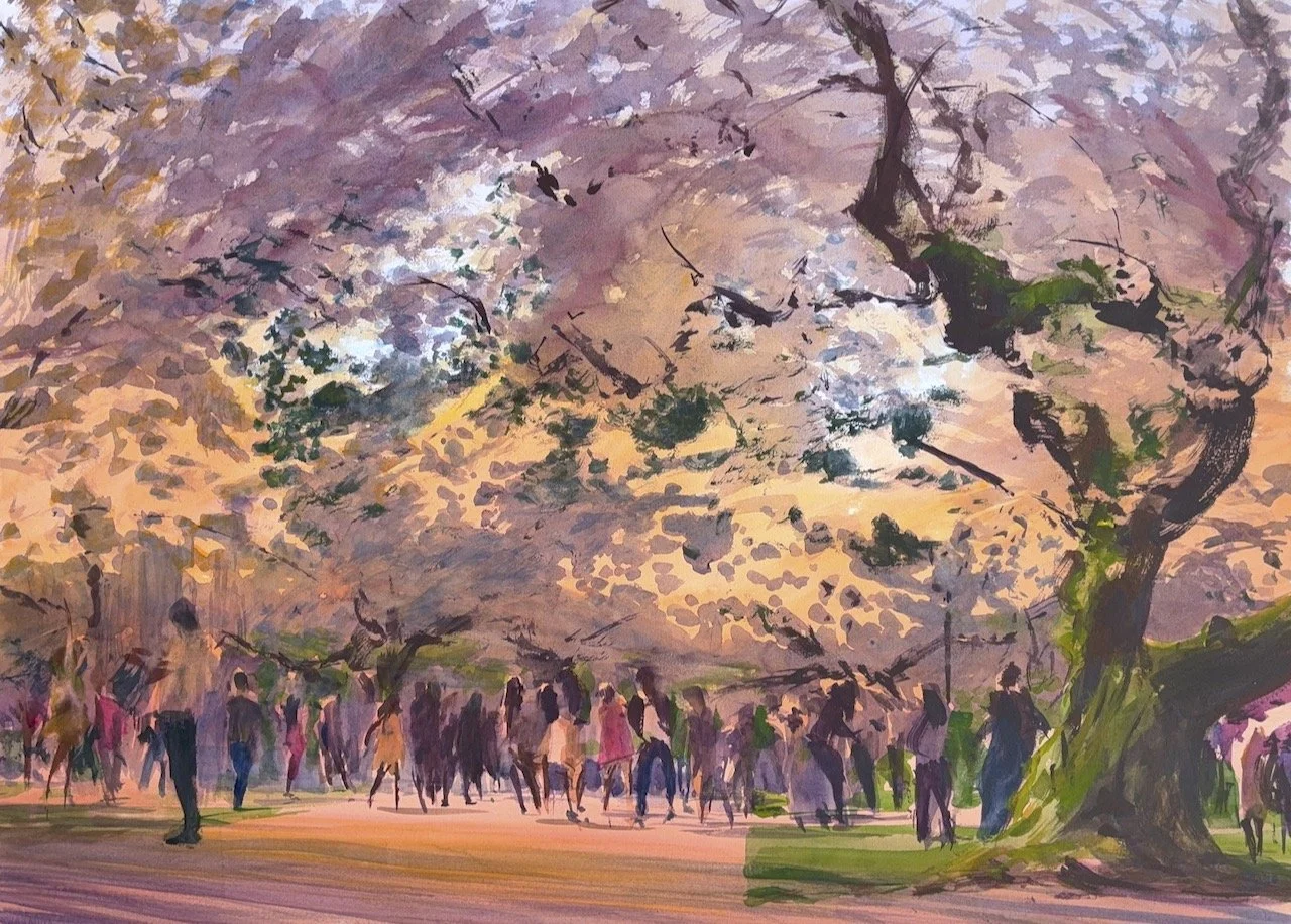 Plein Air, 6:15-6:45pm, Golden Hour on the UW Quad 2 of 2, Cherry Blossoms, 3.30-4.5.26
