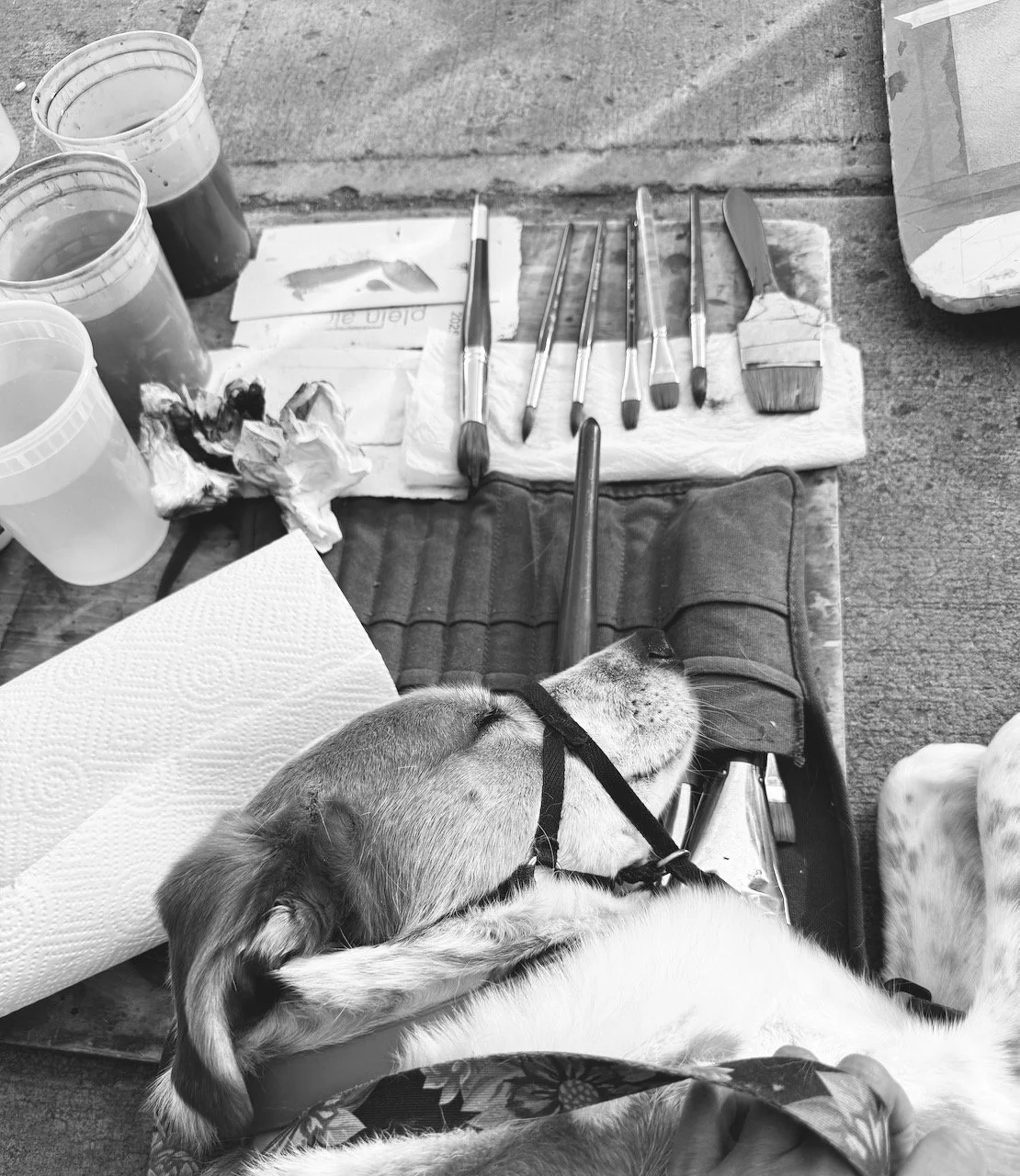 FullSizeRender (2).jpeg