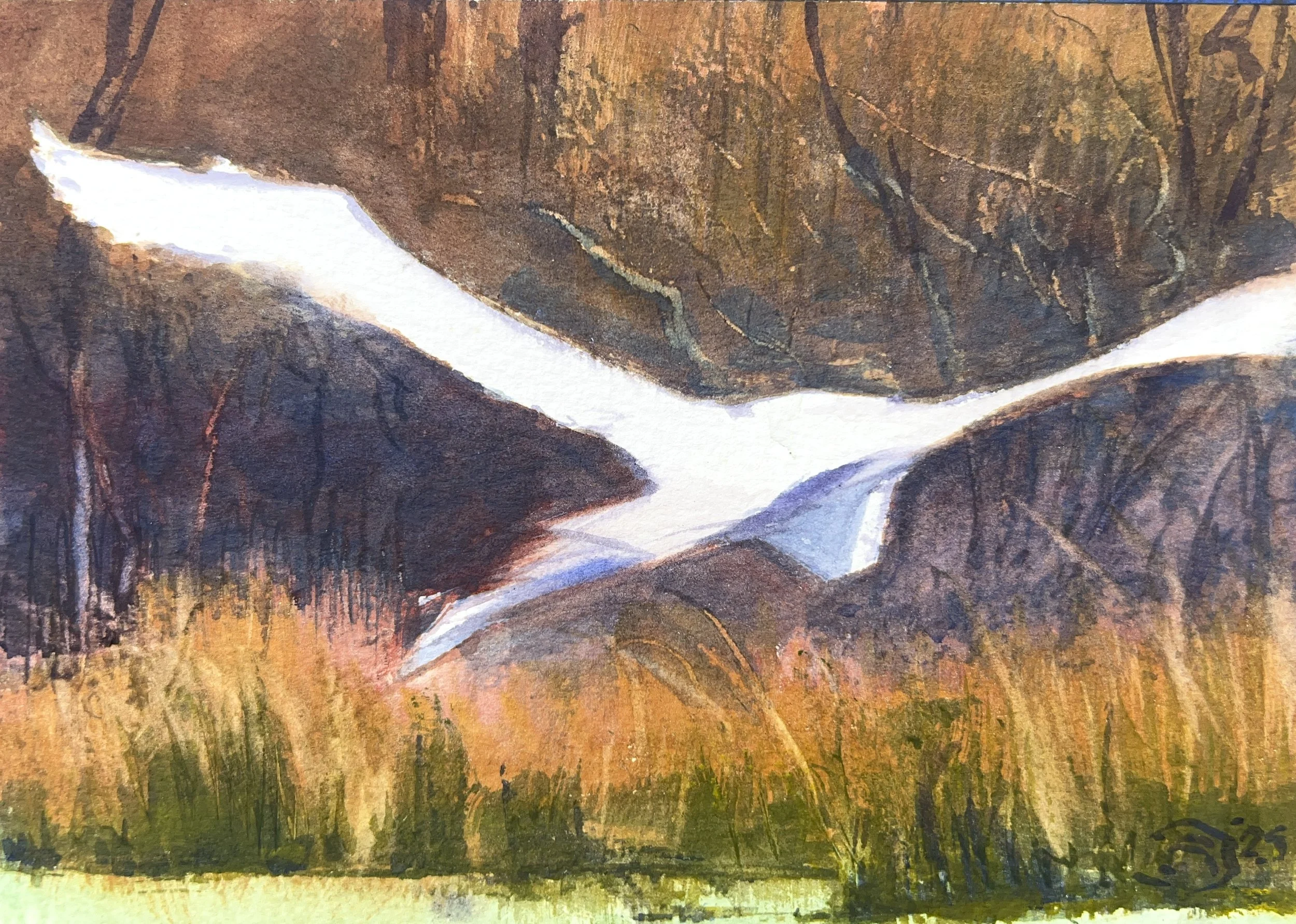 Plein Air, Egrets at Avery Is., 2 of 4, 3.14.25