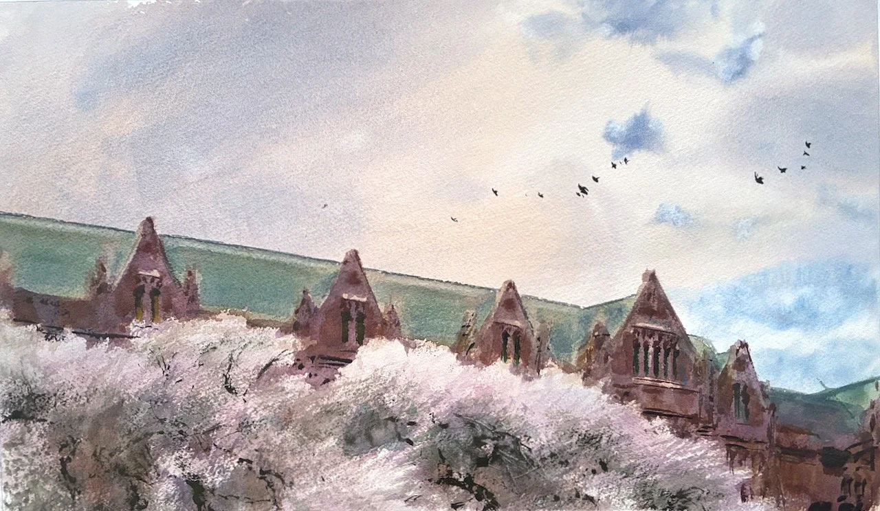Plein Air, 4:30-7pm, Overcast 6 of 10, UW Cherry Blossoms with Crows, 3.25+4.2.26