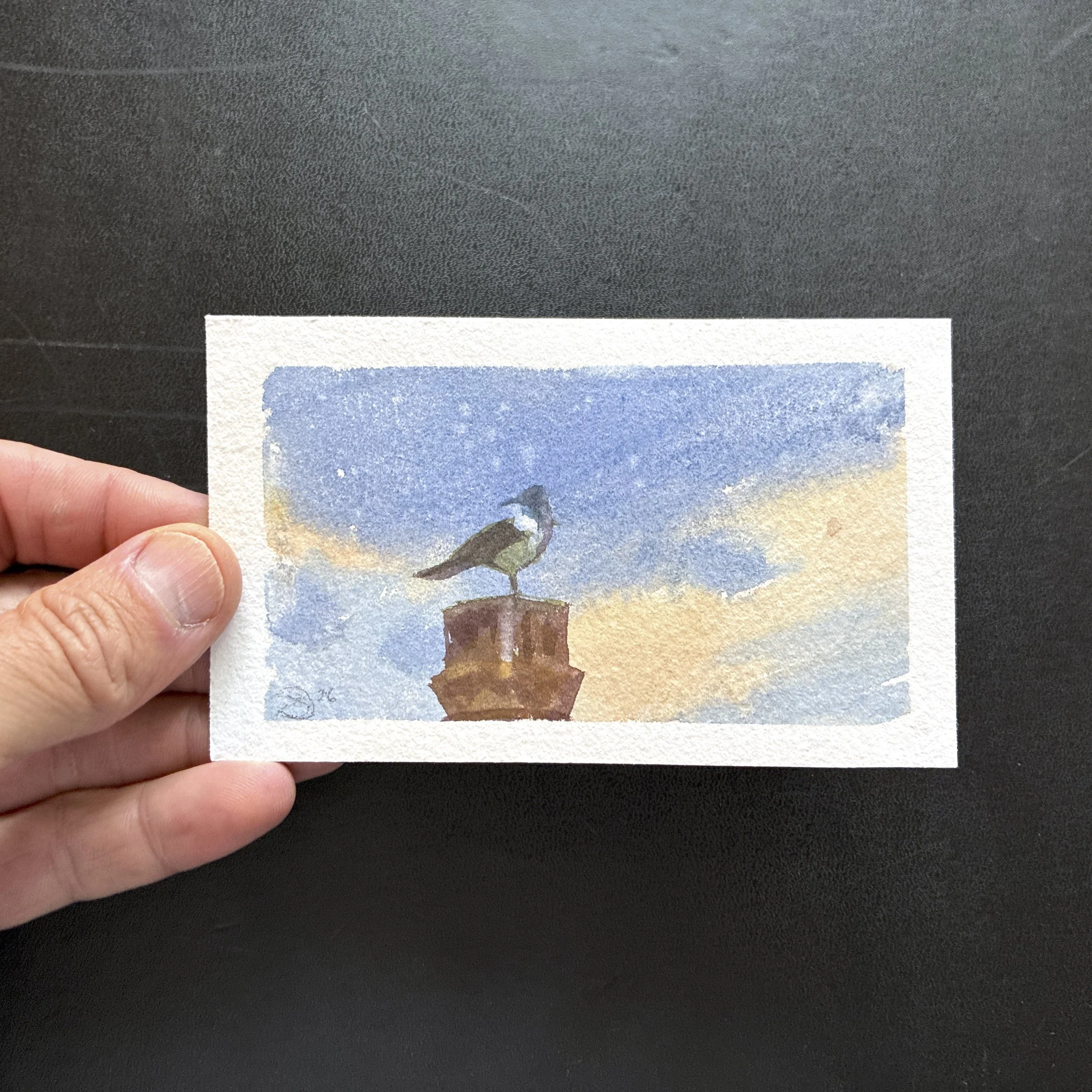 Plein Air, 4:30-7pm, Overcast 7 of 10 (Seagull), UW Cherry Blossoms, 3.25+3.28.26