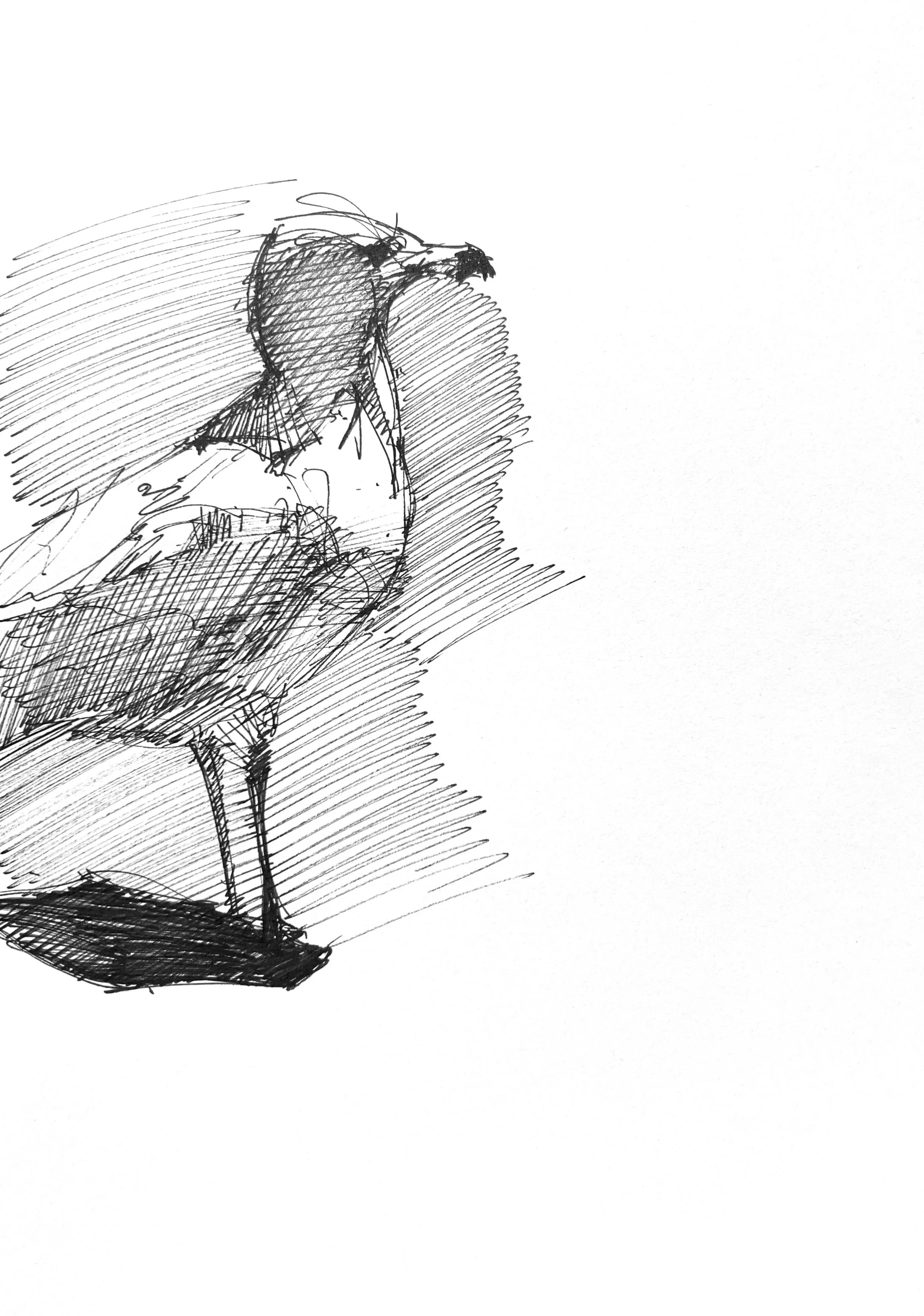 Plein Air, Gulls at St. Catharine's 4, 7.25.24