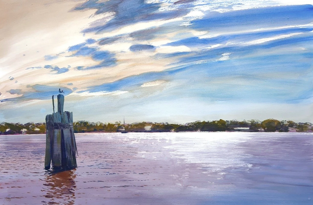 Plein Air, 10:30am-noon, Laughing Gull at Union Point Park, New Bern, NC, 5.17.25