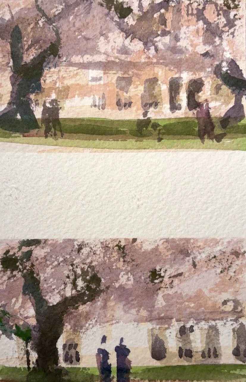 Plein Air, 11:30am-3pm, Side of UW Quad Cherry Blossoms 4 of 4, 3.28-4.6.26