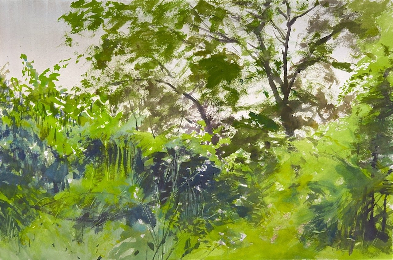 Plein Air, 10:15am-12:15pm, Window View, Traverse City, MI, 6.18.25 (demo painting from Paint Grand Traverse 2025)