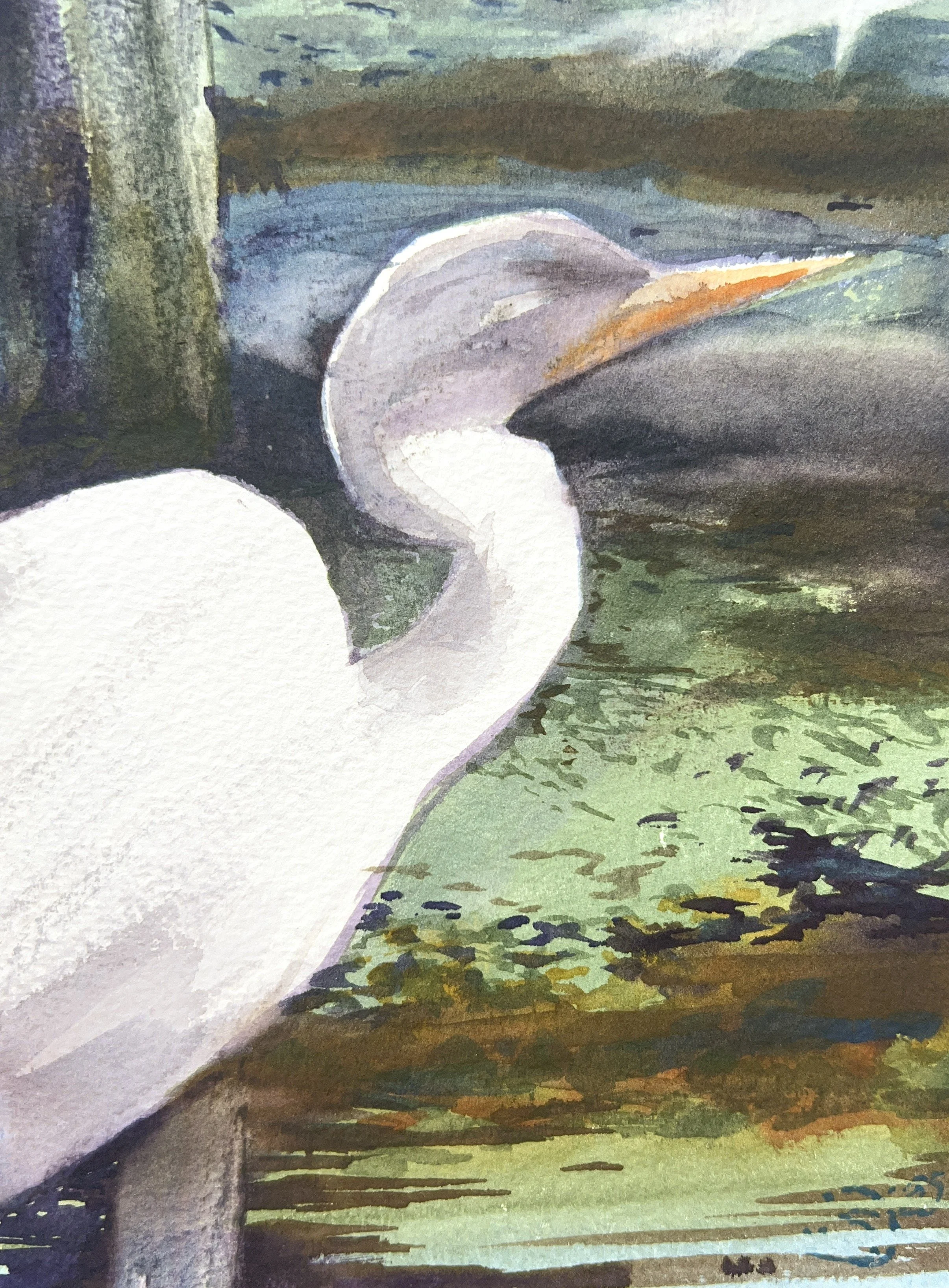 Plein Air, Egrets at Avery Is., 4 of 4, 3.14.25