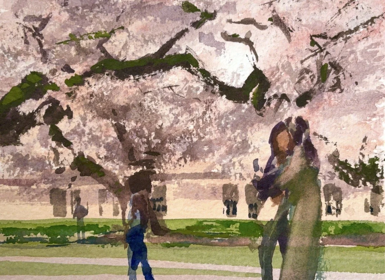 Plein Air, 11:30am-3pm, Side of UW Quad Cherry Blossoms 3 of 4, 3.28-4.6.26