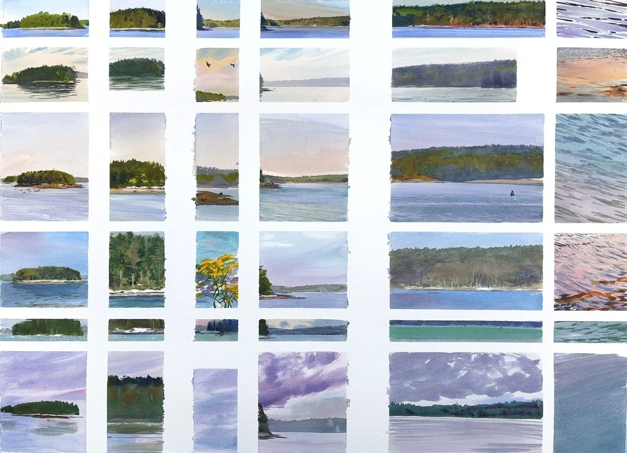 Plein Air, Evening to Evening, 24 hours on Hog Island, ME, 8.16-17.25