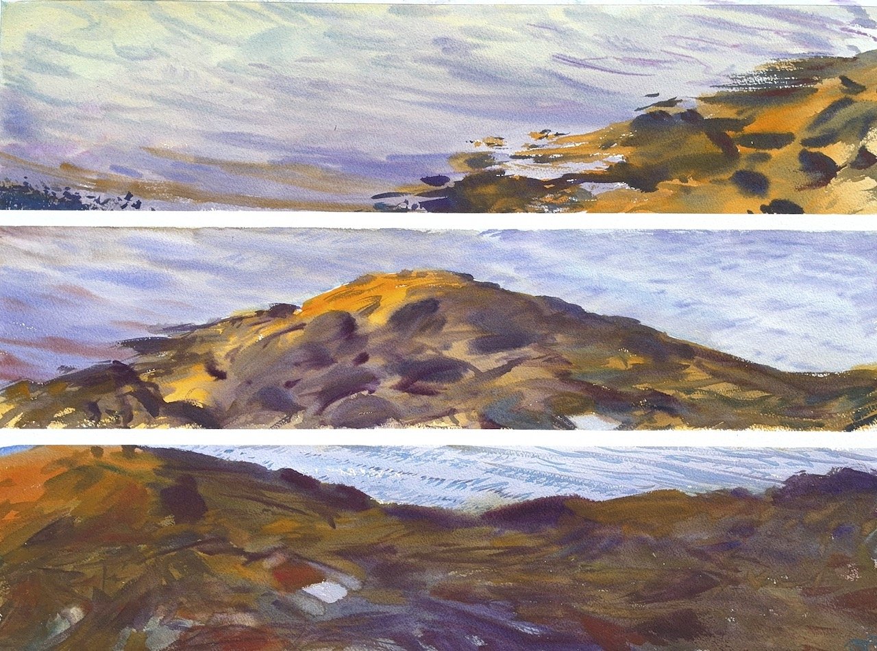Plein Air, 6-7:45pm, Rockweed, Hog Island, ME, 8.12.25