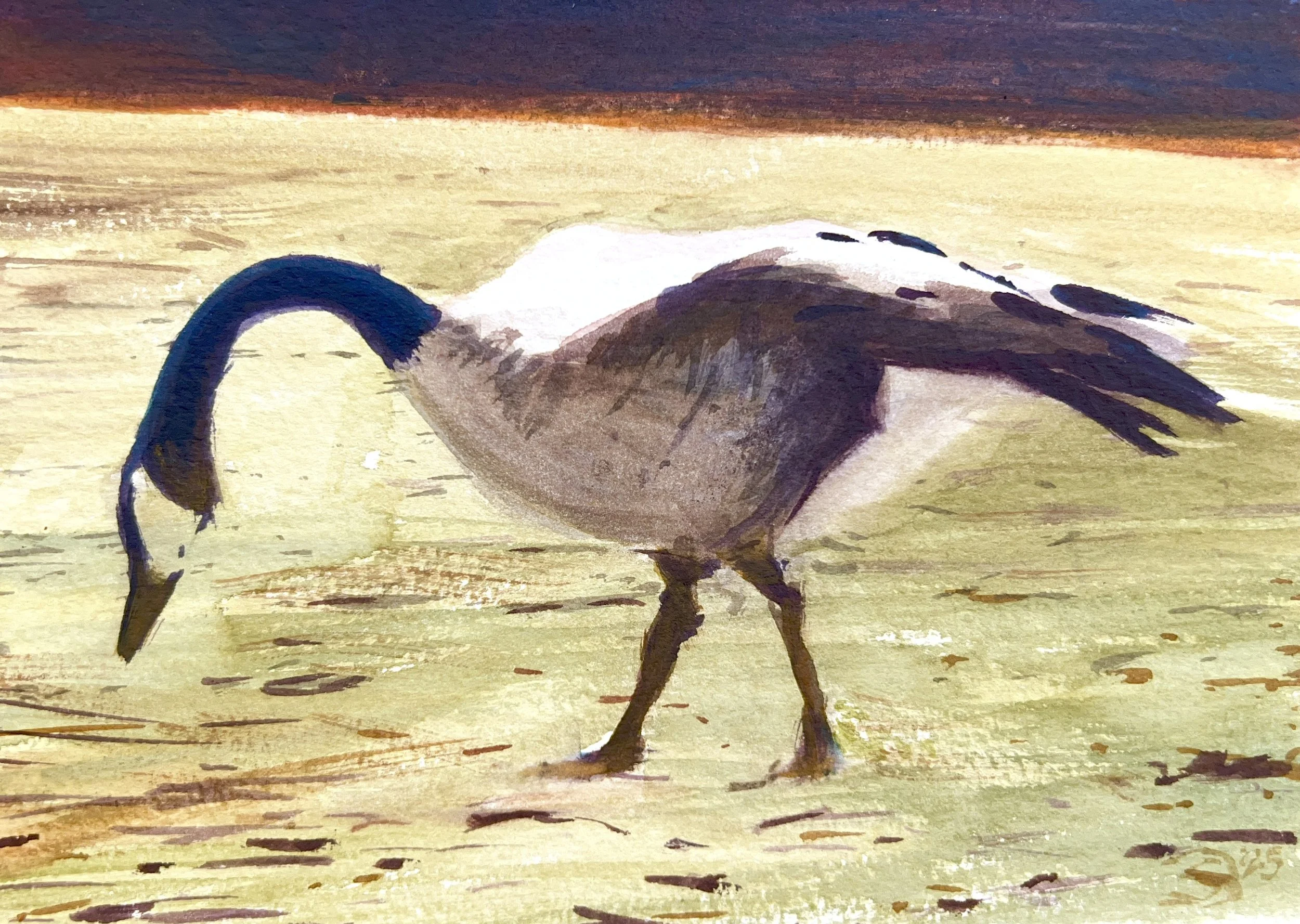 Plein Air, Washington Park, Denver CO, 2:15-3:15pm, 3.17.25, Goose 2 of 2