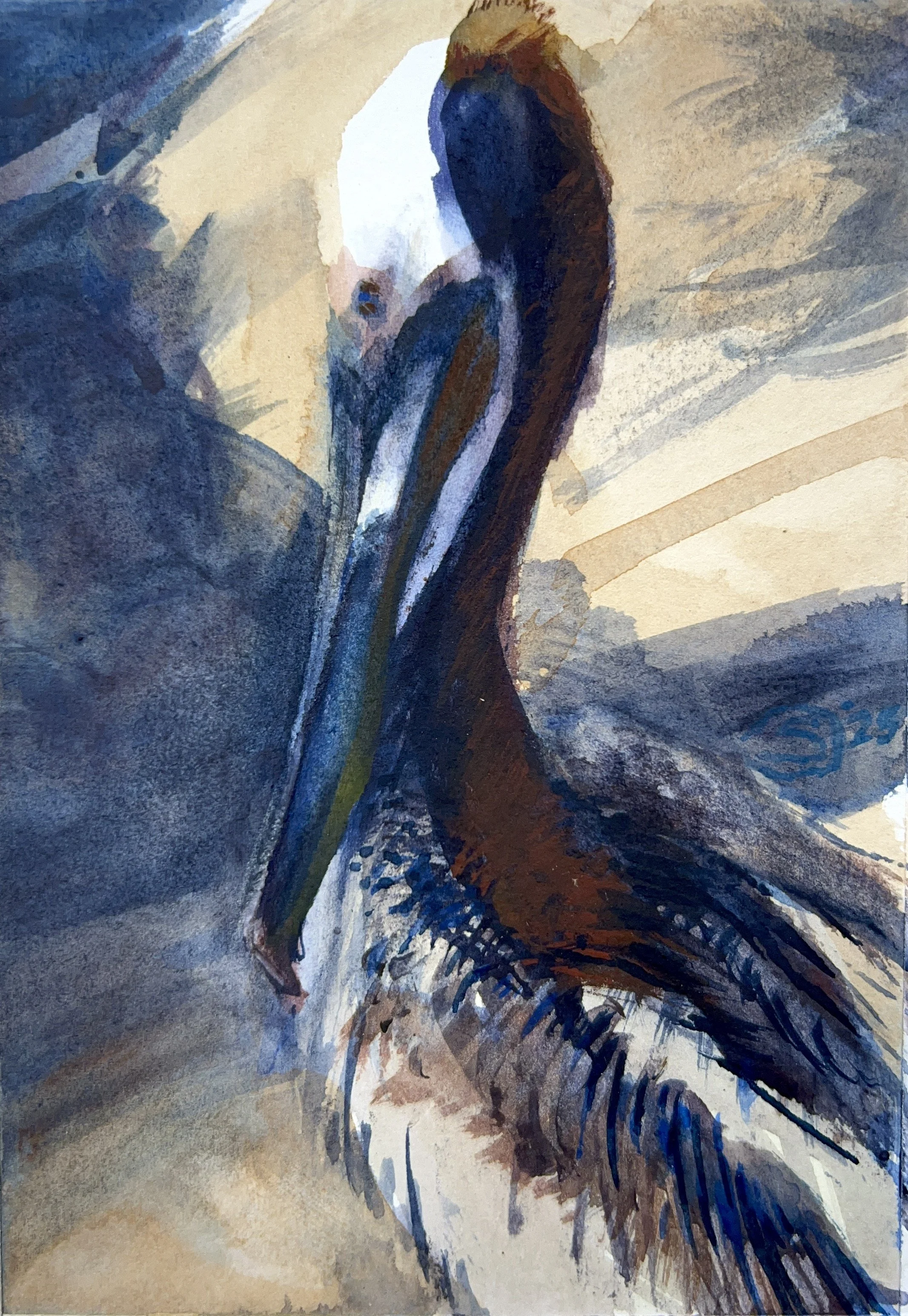 Plein Air, Pelicans in La Jolla, 5:30-6:30pm, 3.29.25
