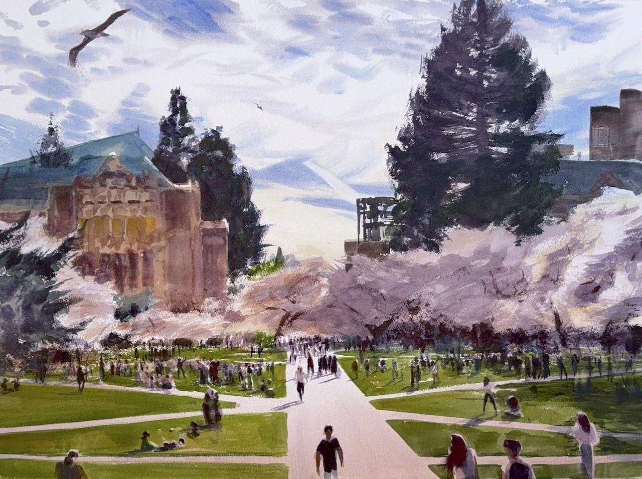 Plein Air, 3:15-6:15pm, Top of Steps 4 of 4, UW Cherry Blossoms, 3.27-4.6.26