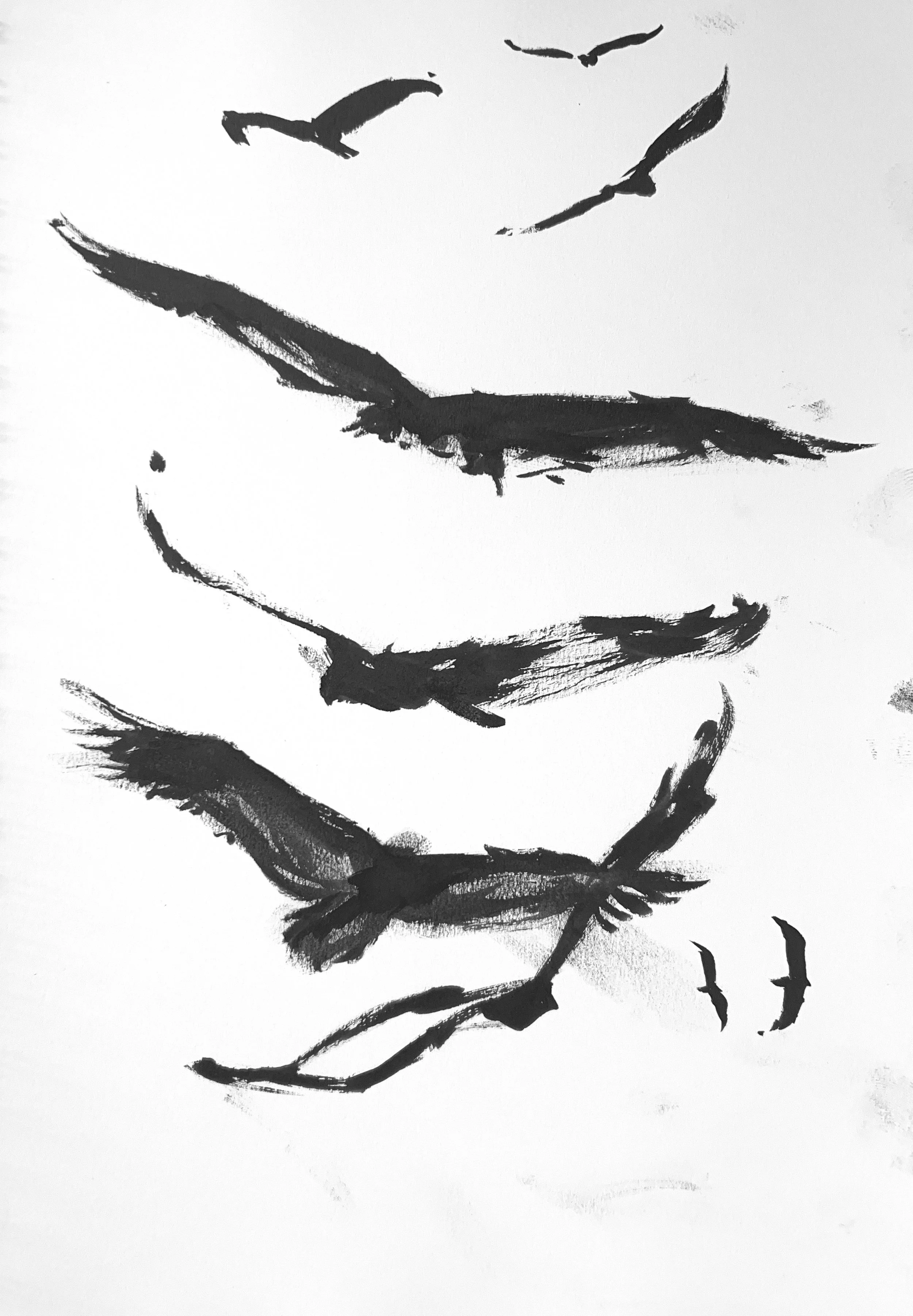 Plein Air, Turkey Vultures at Walnut Canyon 3 of 3, 5.10.24