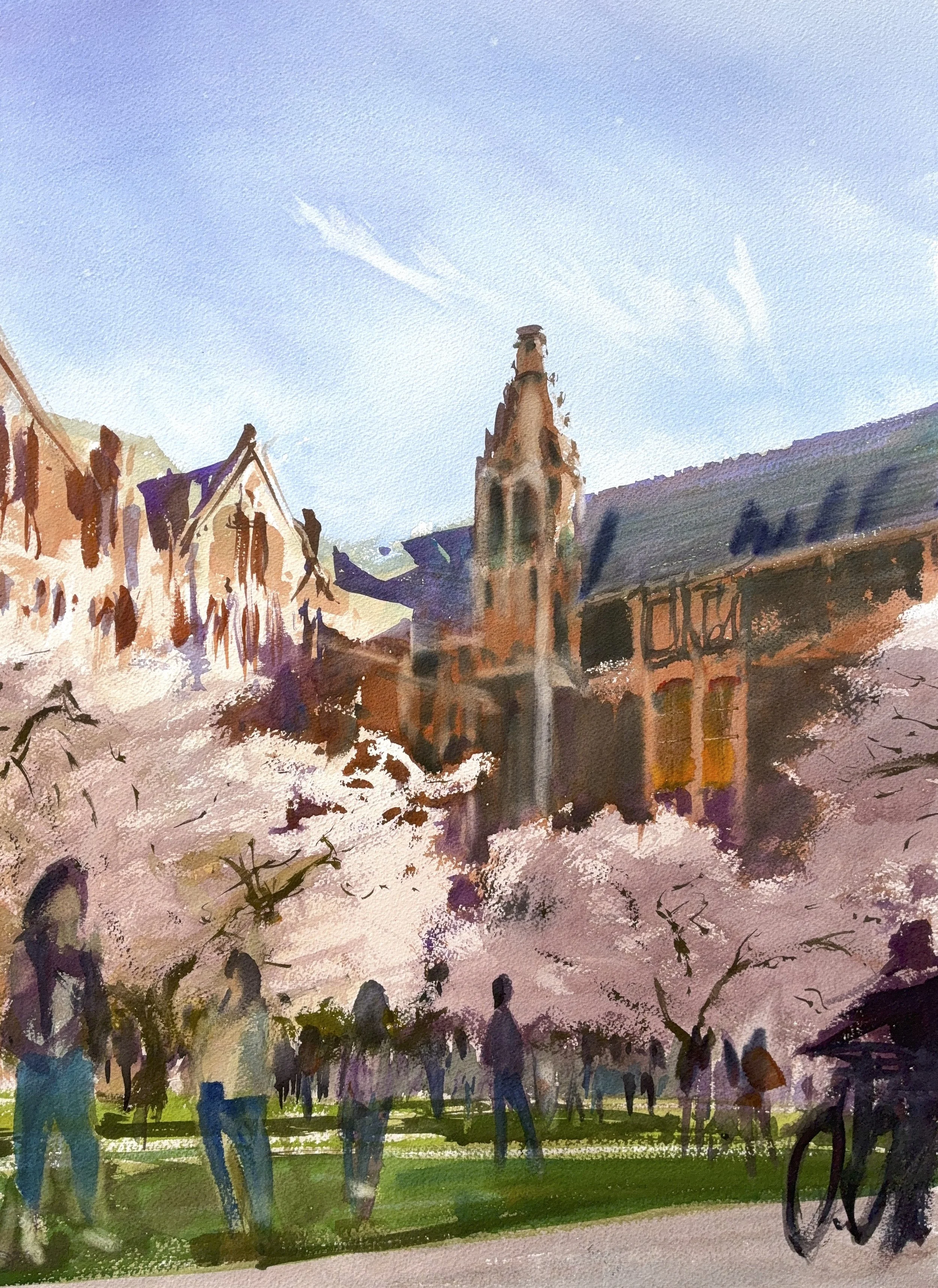 Plein Air, 4:45-6:30pm, UW Cherry Blossoms, 3.26.26