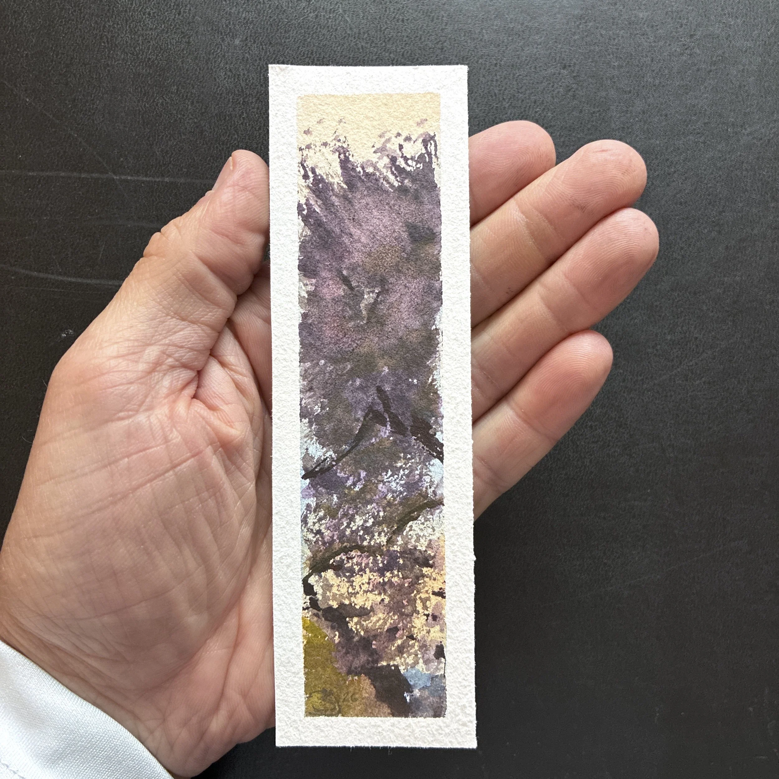 Plein Air, 5:45-7pm, Sunny 5 of 11, UW Cherry Blossoms, 3.22+3.31.26