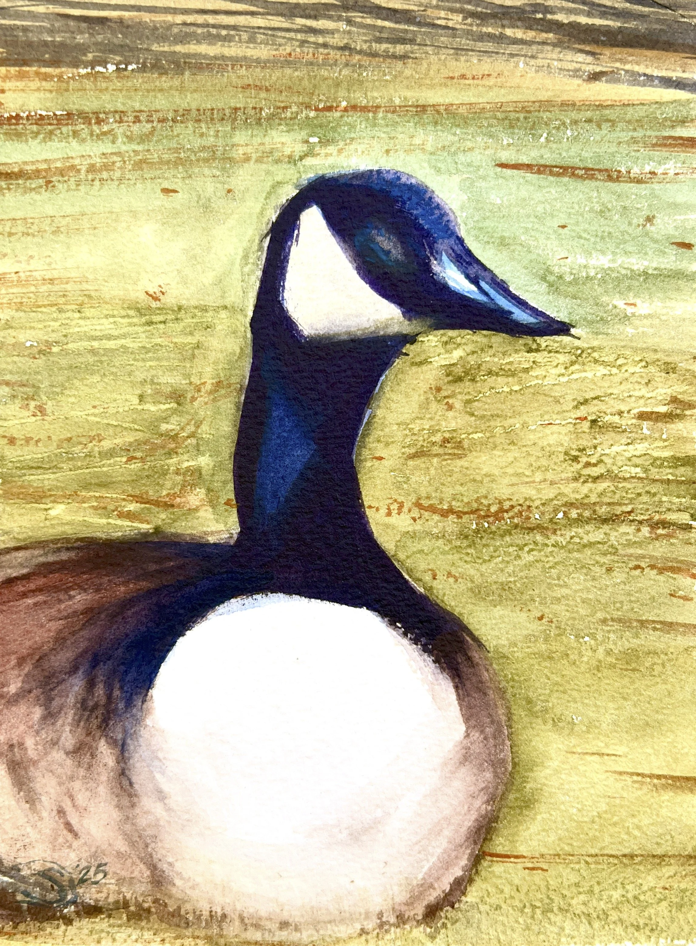 Plein Air, Washington Park, Denver CO, 2:15-3:15pm, 3.17.25, Goose 1 of 2