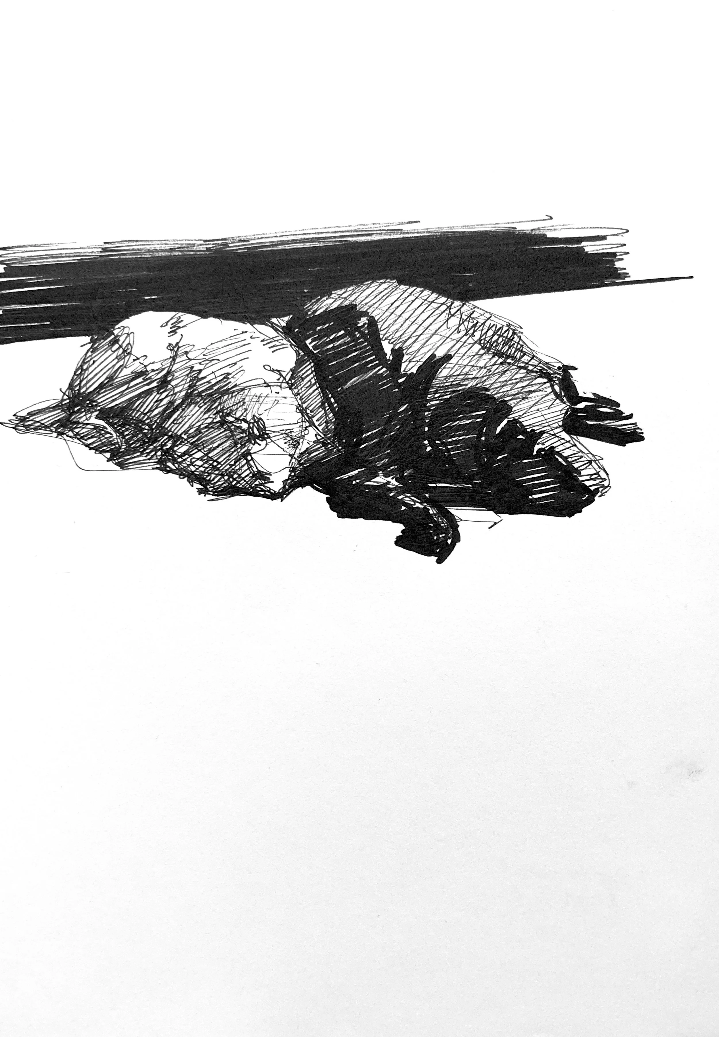 Plein Air, Dog Friends, 8.1.24