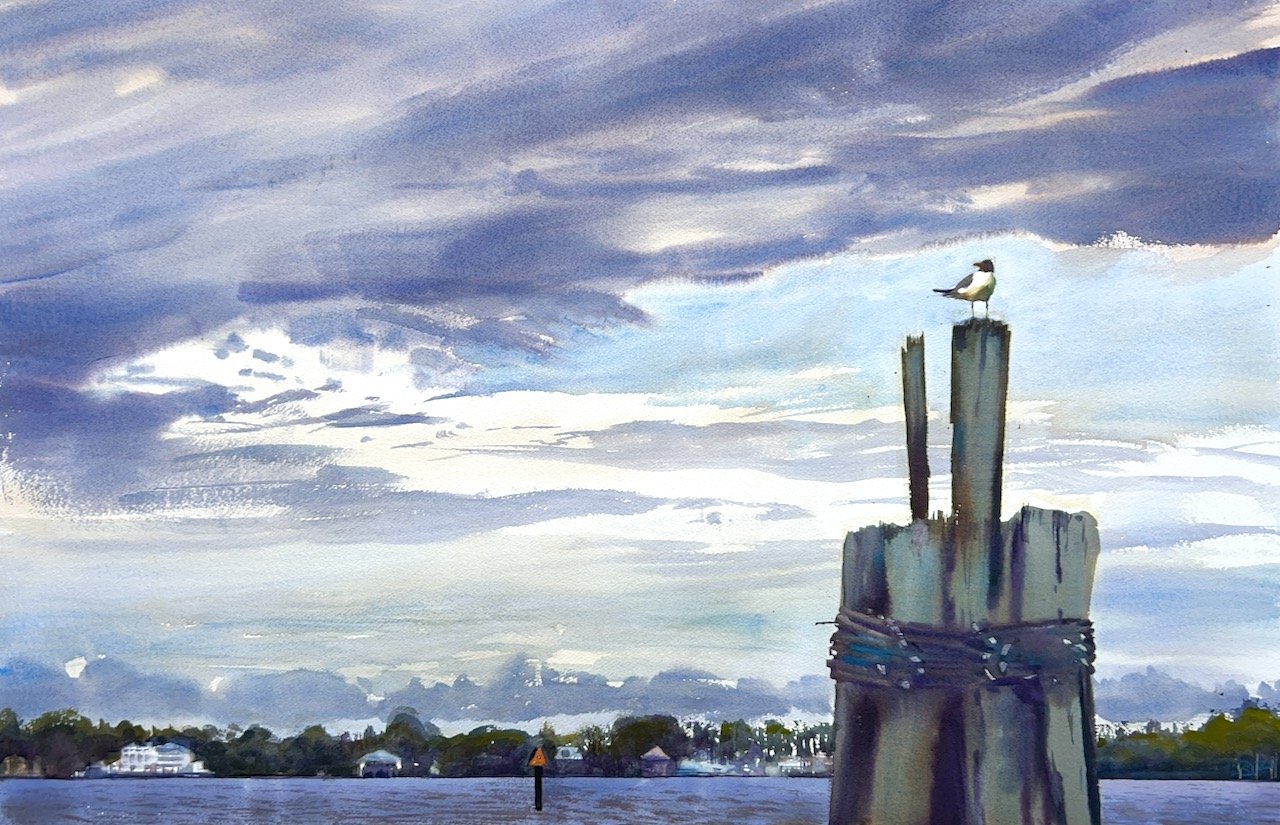 Plein Air, 6-7:30pm, Laughing Gull on pier at Union Point Park, New Bern, NC, 5.14.25