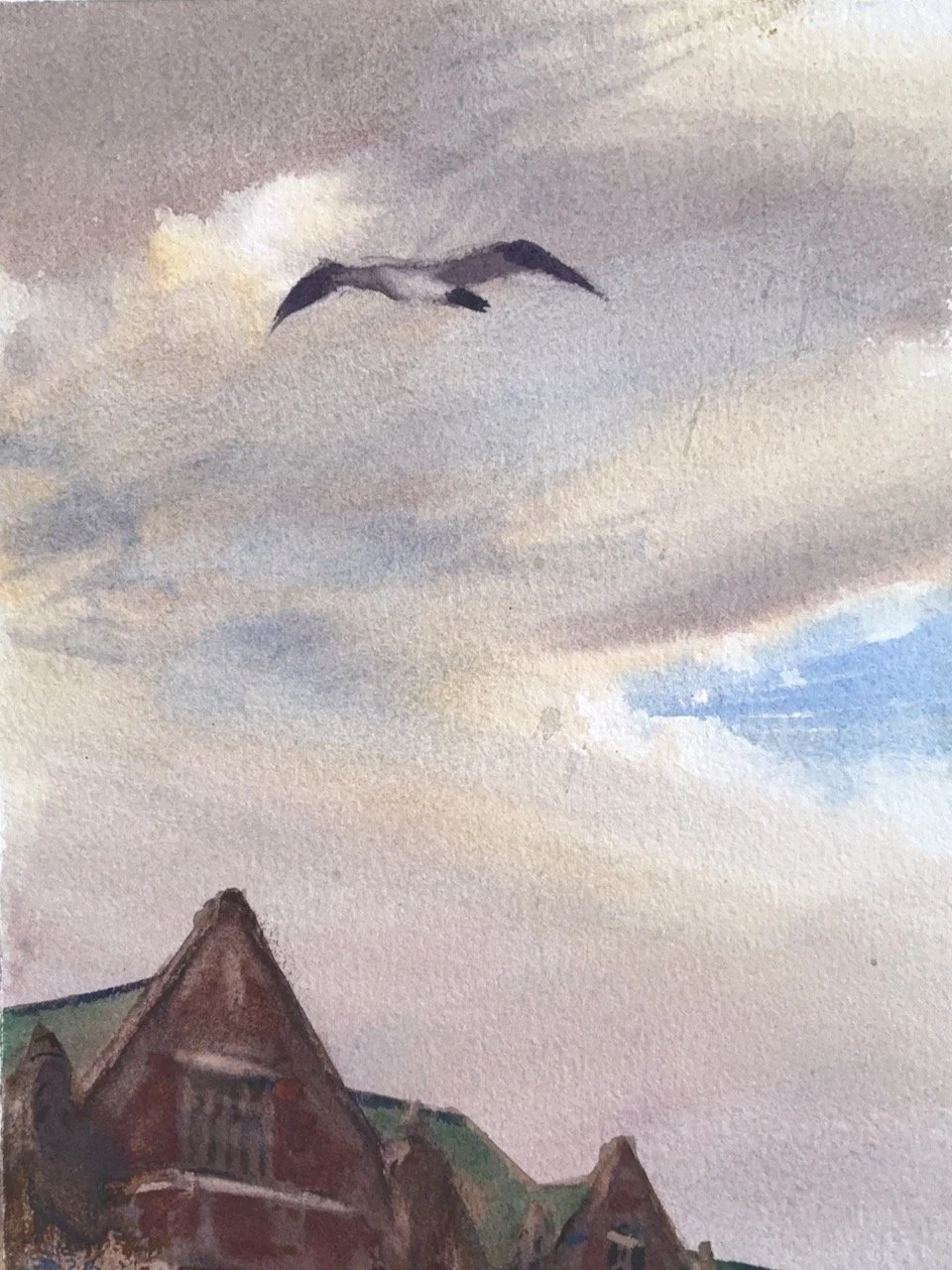 Plein Air, 4:30-7pm, Overcast 10 of 10, UW Cherry Blossoms with Gull, 3.25+4.2.26