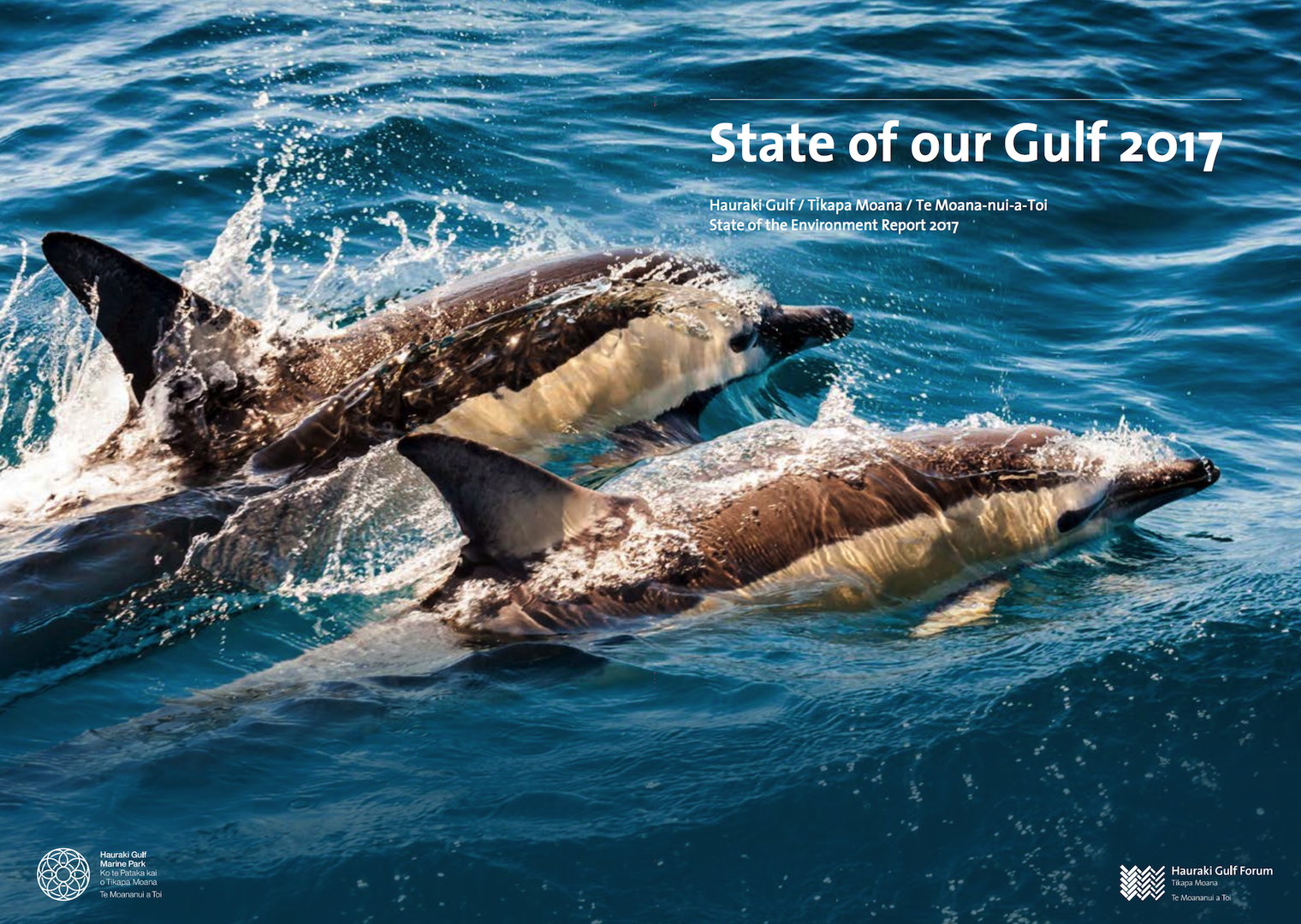 State Of Our Gulf 2017.png