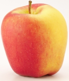 apple_ambrosia.jpg