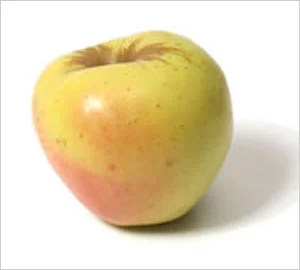 apple_criterion2.jpg