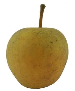 apple_pitmastonpineapple.jpg