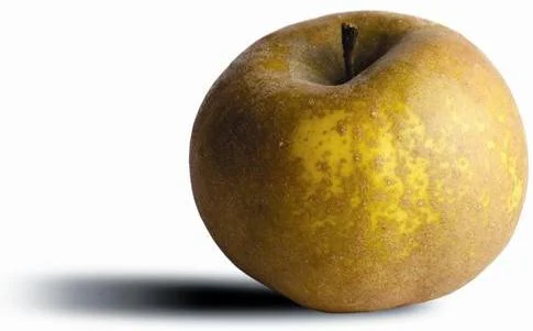 apple_pommegris.jpg