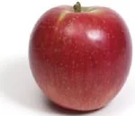 apple_regent.jpg