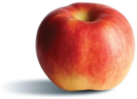 apple_spigold.jpg