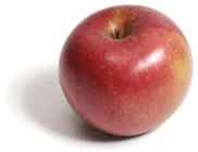 apple_stayman.jpg