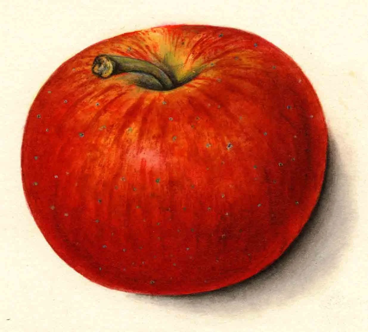 apple_grindstone.jpg