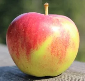 blaze apple
