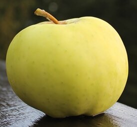 Bullet — Salt Spring Apple Company Ltd