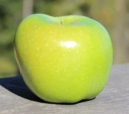 Reinette Simirenko — Salt Spring Apple Company Ltd