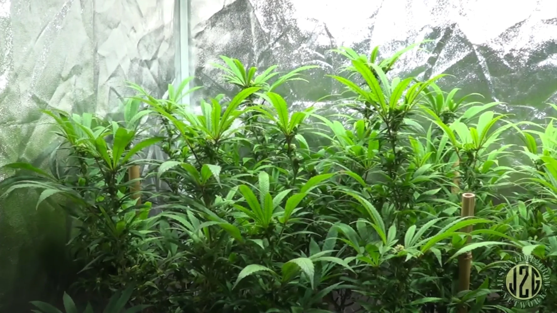 Return Consultation up to 60 Minutes