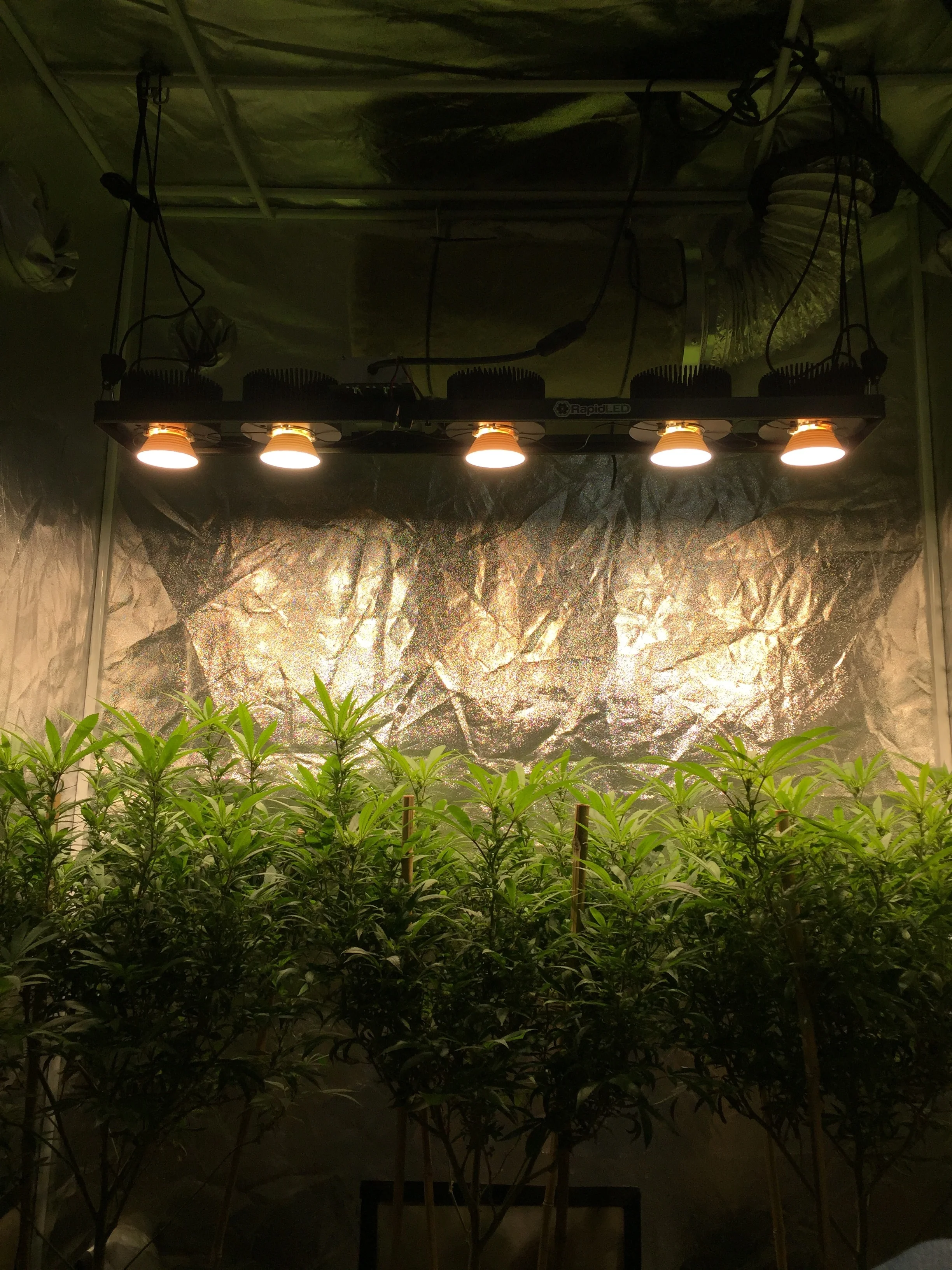 Grow Room Setup Consultation up to 2 hours