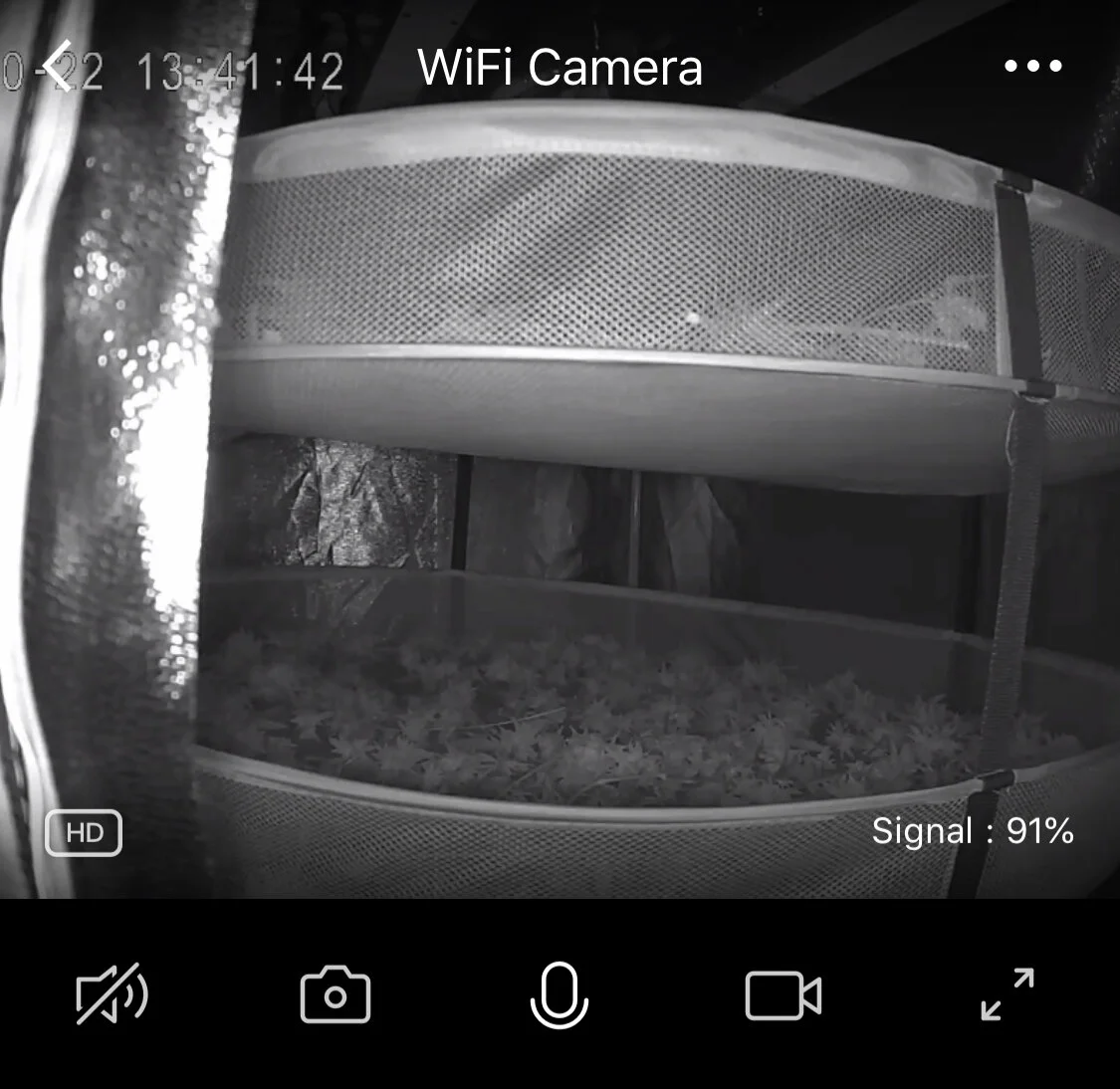 IMG_3837.JPEG