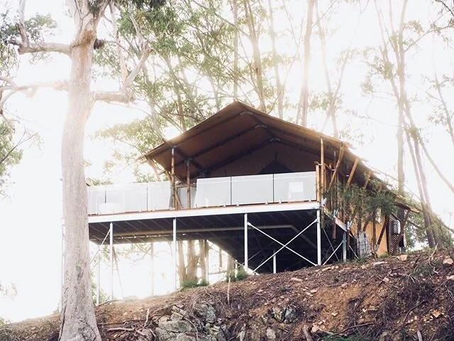 Currajong retreat nearing completion. Luxury tented accomodation perched on the cliff edge overlooking the beautiful towamba river.
.
.
.
.
#glamping #merimbula #southcoastnsw #building #offgrid #river #country #accomadation #carpentry