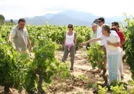 Categoria_14_Altres_visites guiades.jpeg