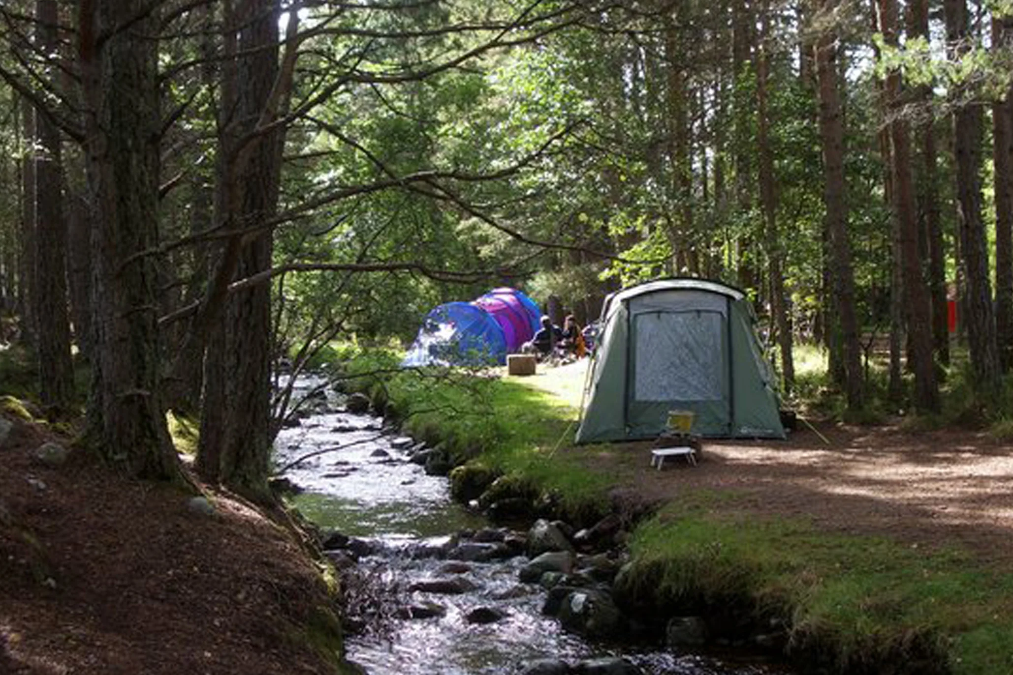 Image credit: Rothiemurchus Camp and Caravan http://bit.ly/2HJV9hQ 