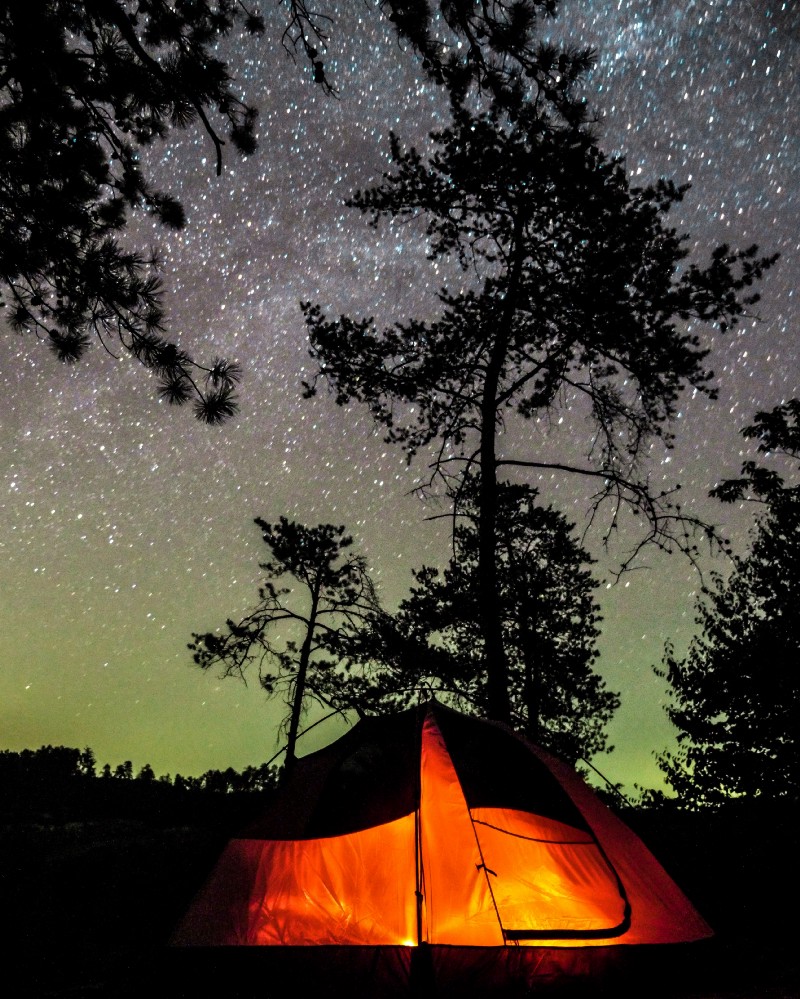 Image Credit: Rohan Makhecha