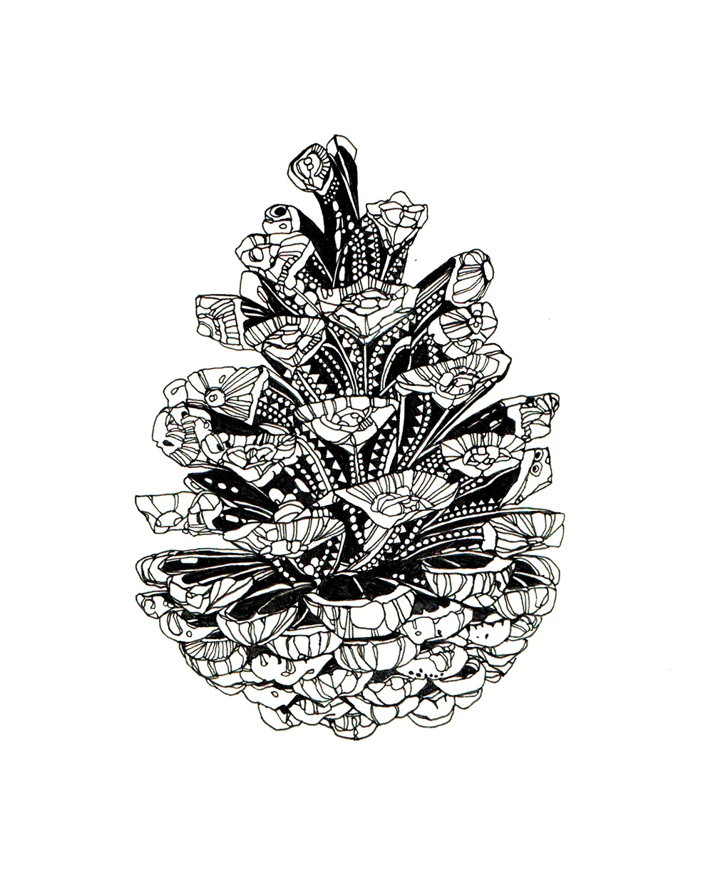 pinecone-web1.jpg