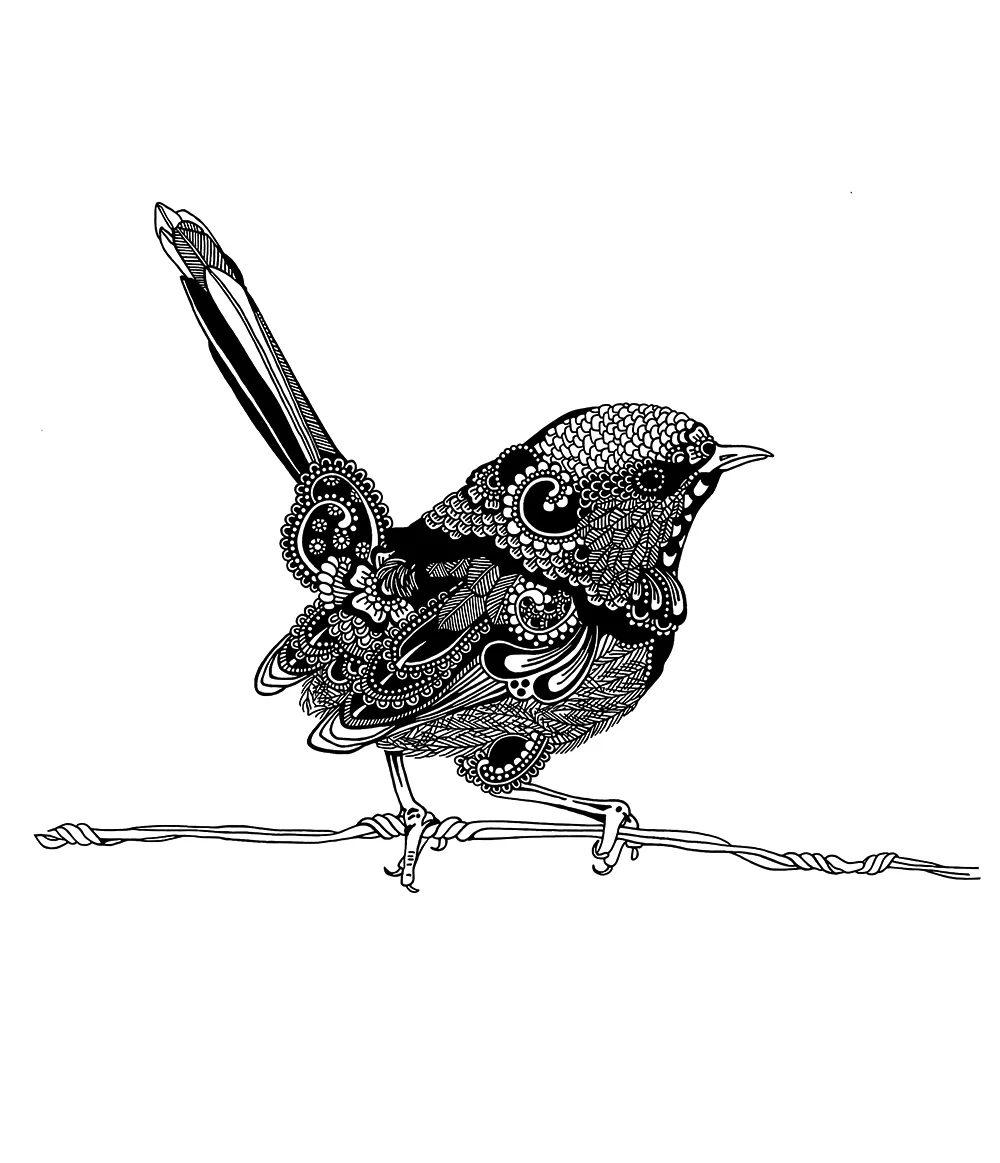 Fairywren-final.jpg