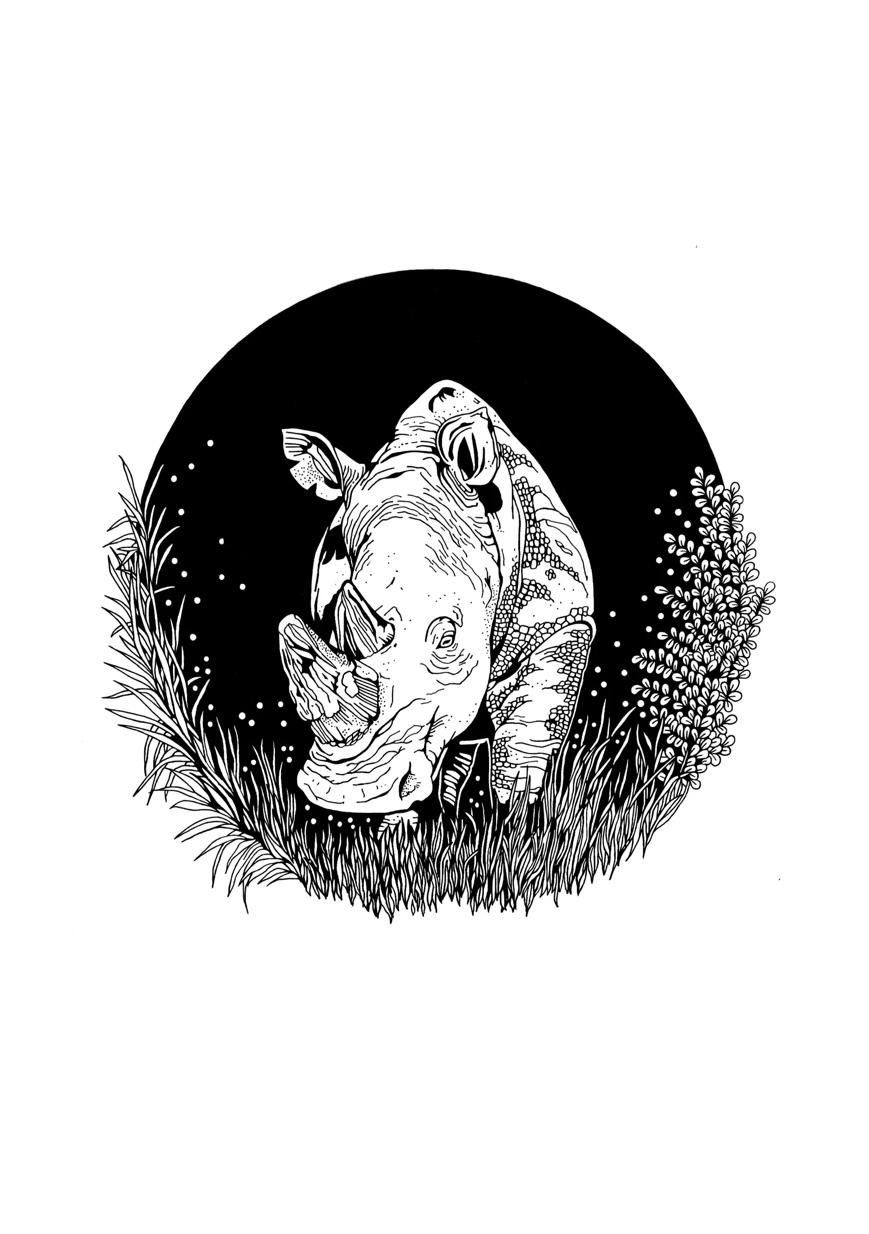 Last Rhino web.jpg