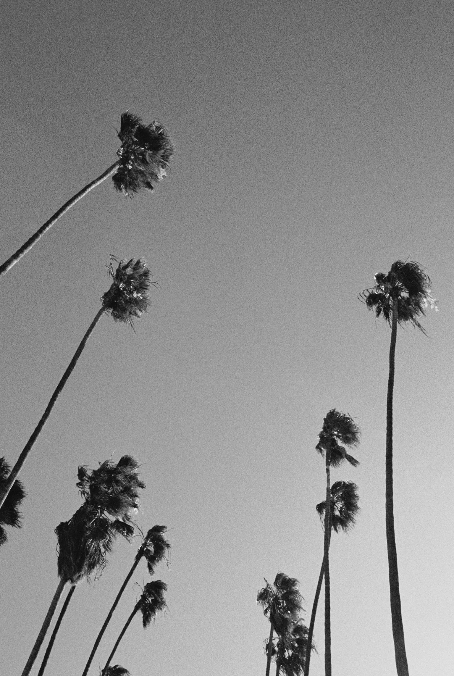 KAIT655-092_BW.jpg