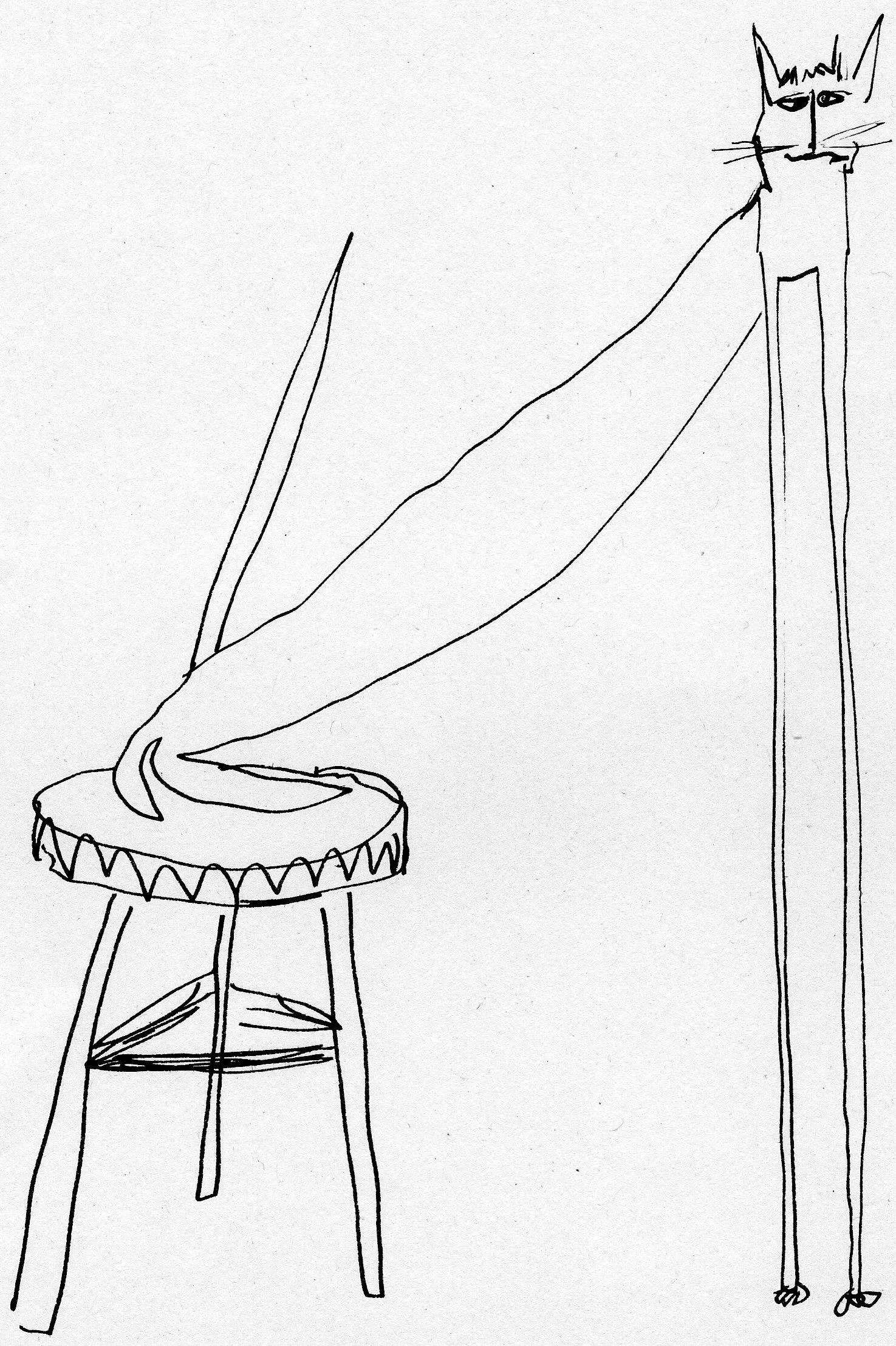 cat stool.jpg